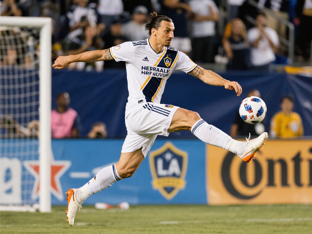 用户反馈以 用户反馈以